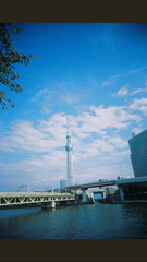 スカイツリー