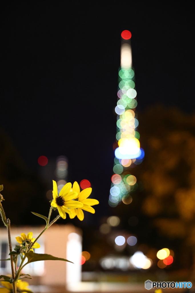 夏の終わり