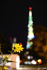 夏の終わり