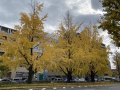 D4BA3260-B4B3-4CEB-B0D6-7B1624DD4817