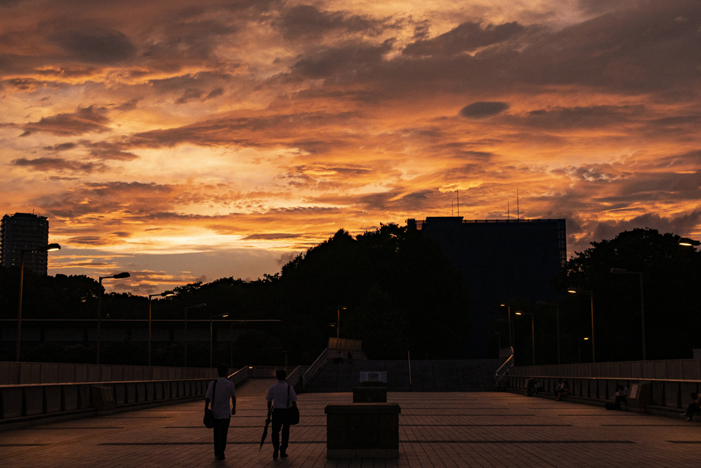 上野夕焼け