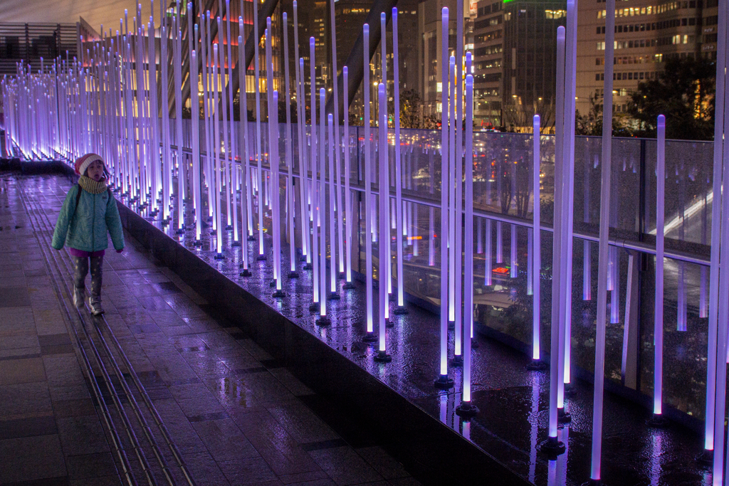 パープルライト