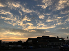 柔らかな夕景