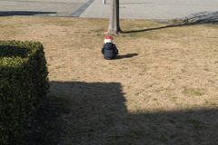 赤いヘルメット