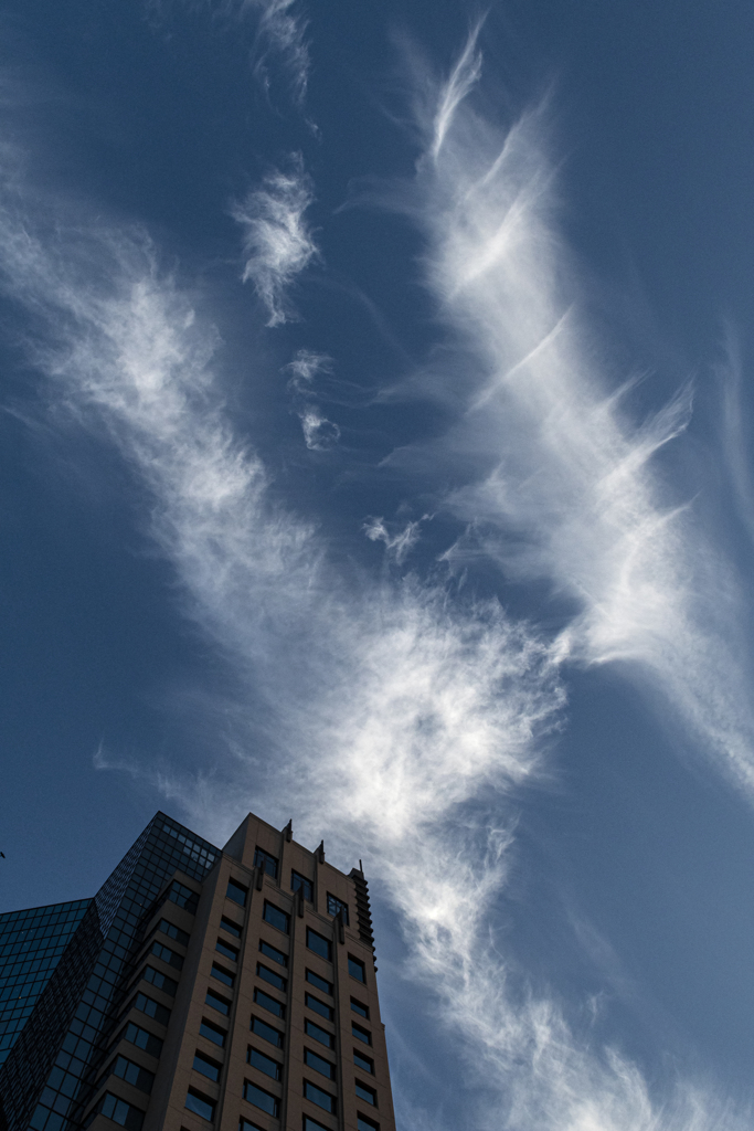 白い雲