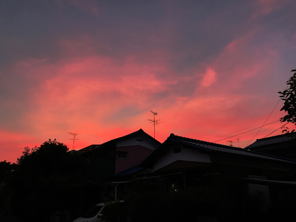燃える
