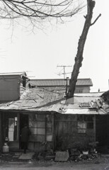 昭和55頃の参道沿い