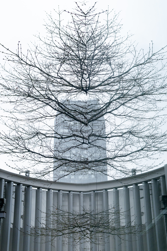 不思議な世界14