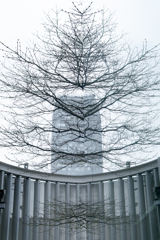 不思議な世界14