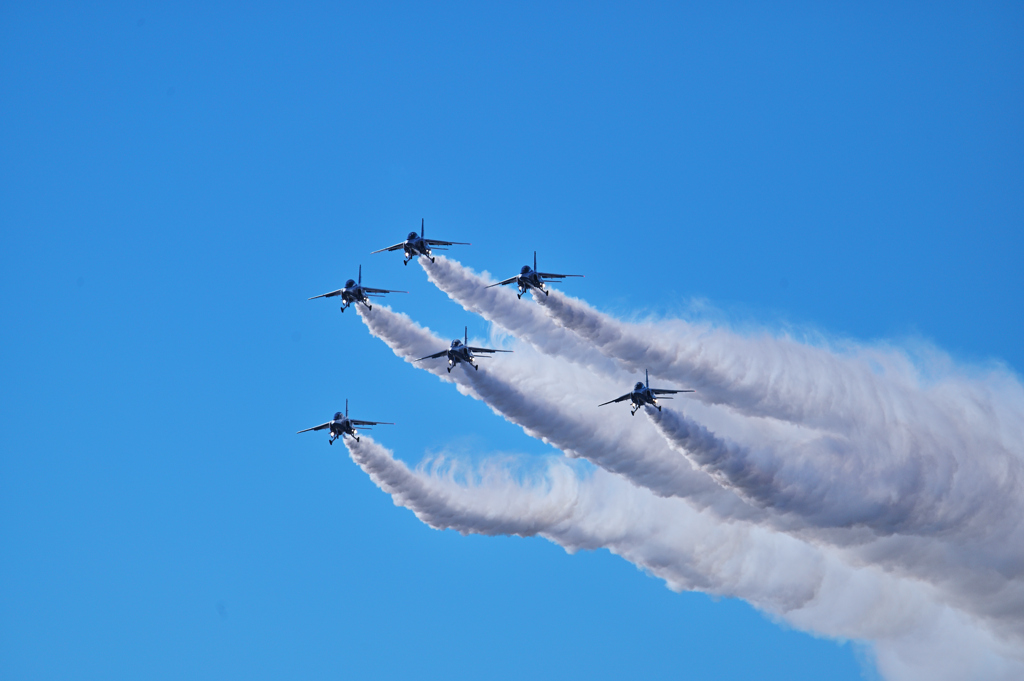 クリスマスツリー