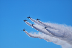 クリスマスツリー