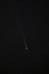紫金山・アトラス彗星