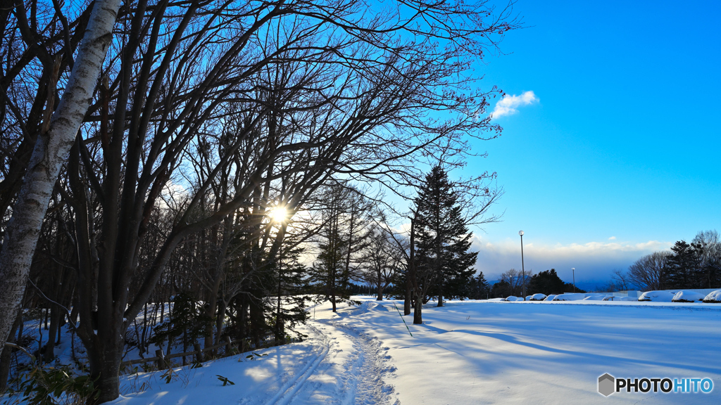 雪の風景