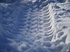 雪道のタイヤ痕