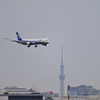 飛行機撮影2-6