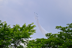川崎ブルーインパルス7