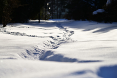雪の細道