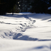 雪の細道