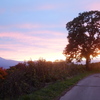 DSCF1255