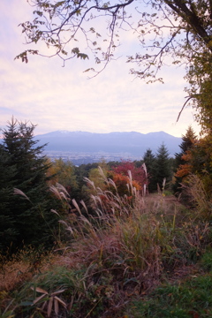 DSCF1242