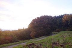 DSCF1237
