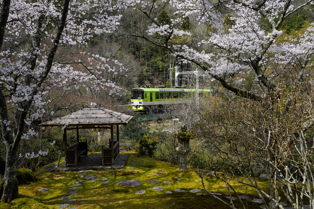 日本庭園と叡山電鉄