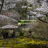 日本庭園と叡山電鉄