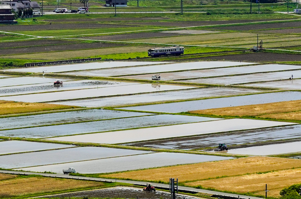 田植えの時期の北条鉄道