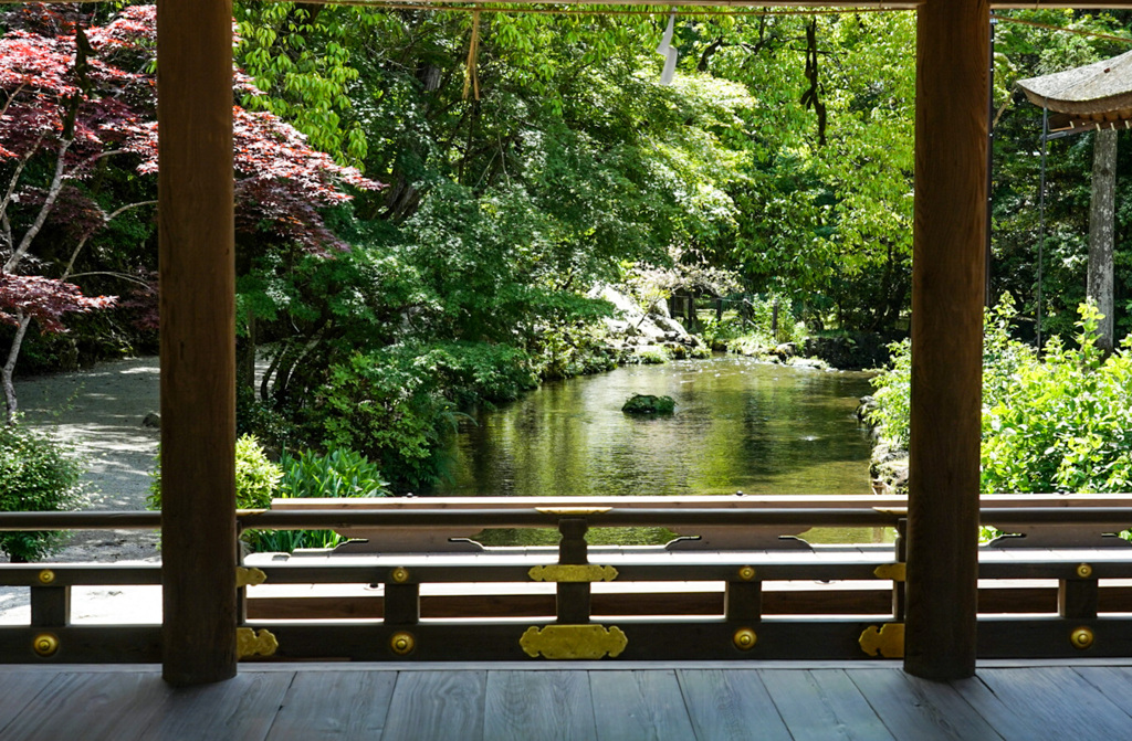 新緑のならの小川(上賀茂神社)