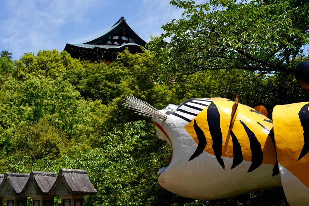 新緑の信貴山　朝護孫子寺