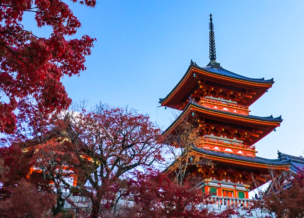 清水寺の紅葉