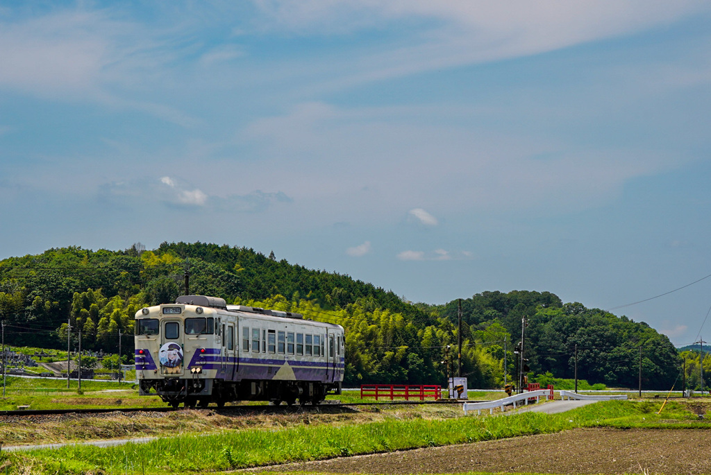 北条鉄道と新緑