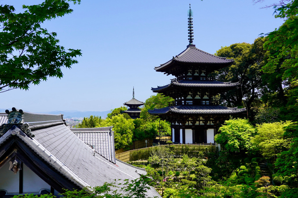 新緑の當麻寺