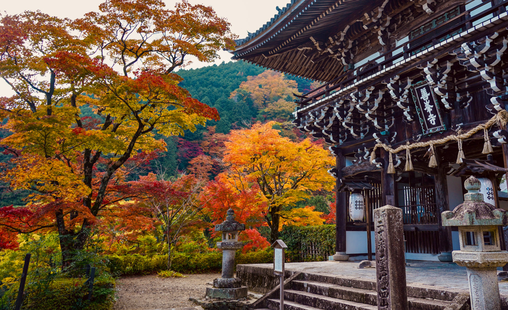 善峯寺の紅葉　1