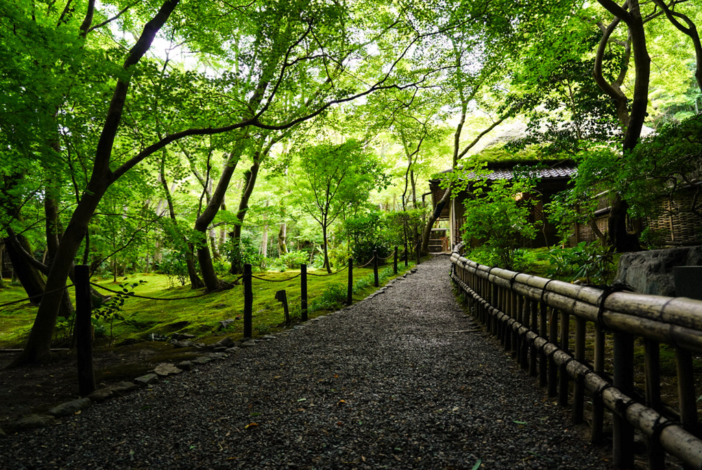 祇王寺の庭園