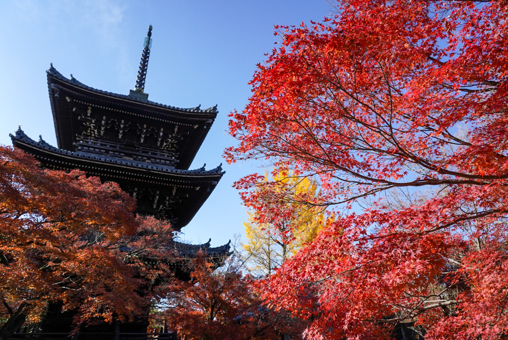 真如堂の紅葉