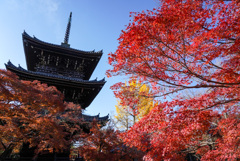 真如堂の紅葉