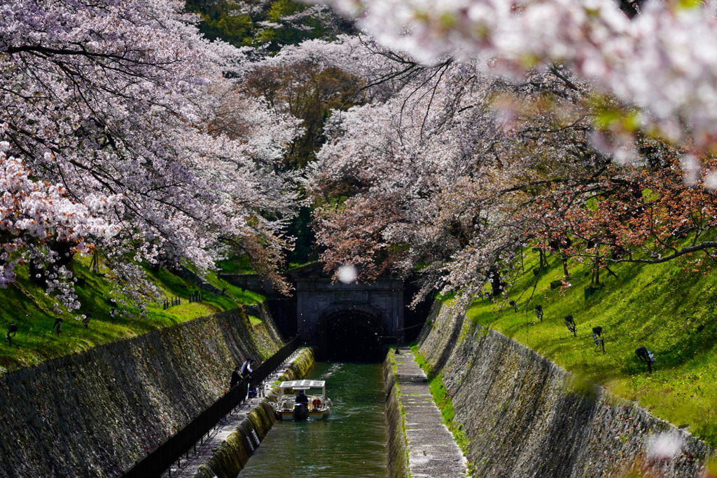 琵琶湖疏水