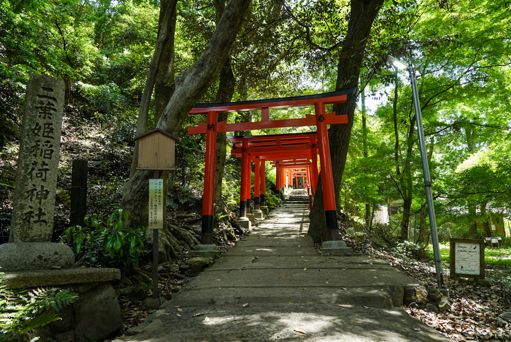 新緑の二葉姫稲荷神社