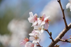 B141792C-2C74-4D6C-9348-EB04462DDC2E