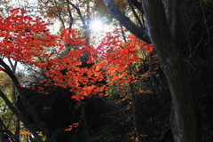 霊山ハイキング風景
