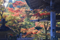 永源寺（もみじ寺）紅葉其12