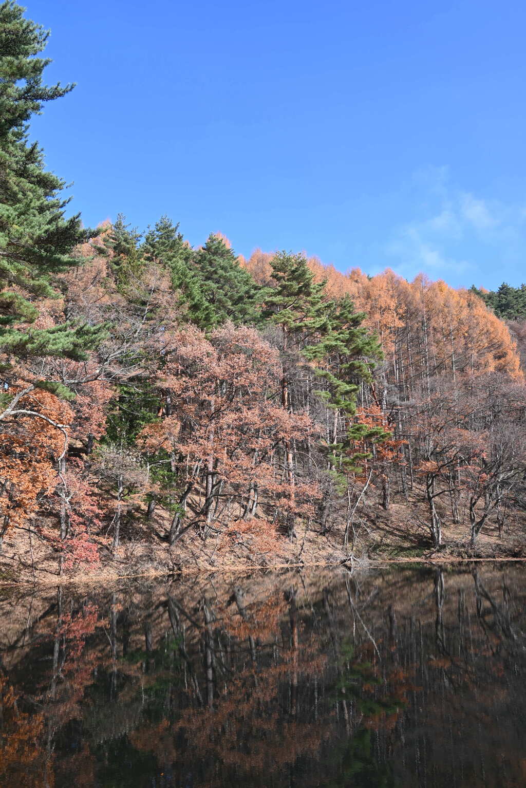 大沢の堤