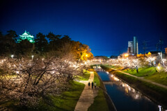 岡崎のよくある光景