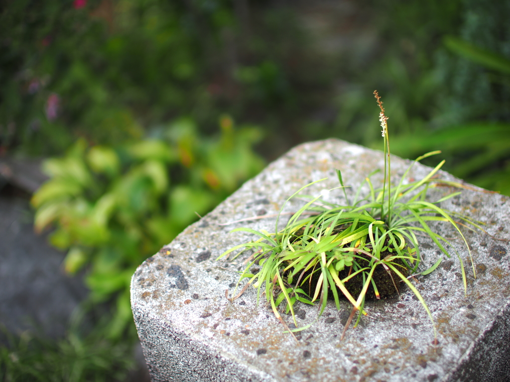 見晴らしのいい場所