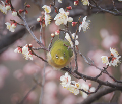 こっち向いて