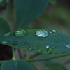 雨上がり