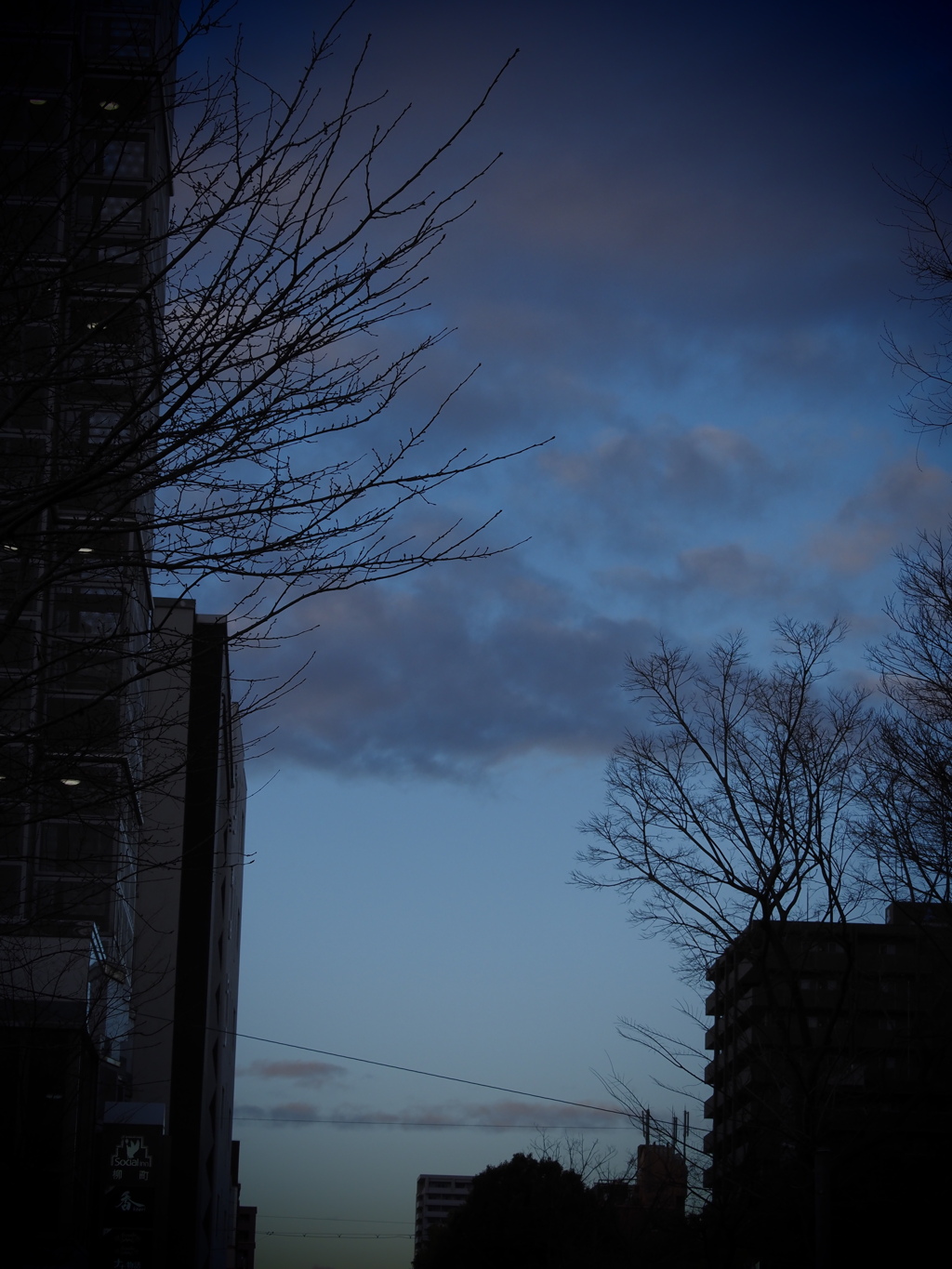 夕暮れ散歩（１）
