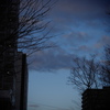 夕暮れ散歩（１）