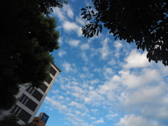 空と建物